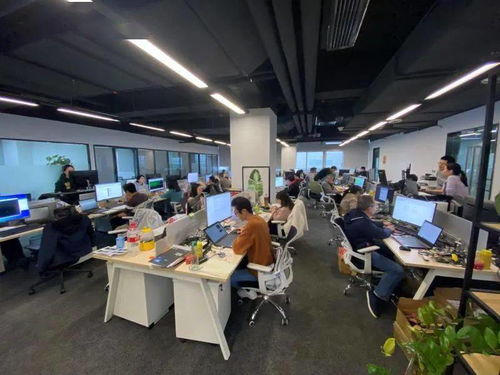 时擎科技 深耕张江科创沃土，以端侧AI芯片撬动智能未来